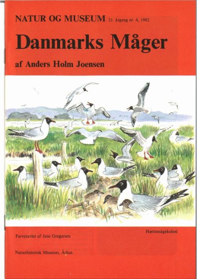 Danmarks måger